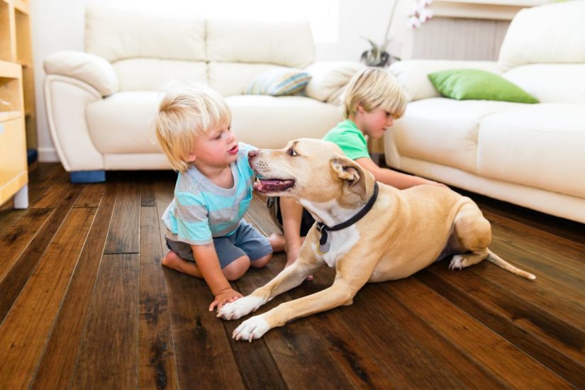 Image of two children and a dog playing on a wood floor.