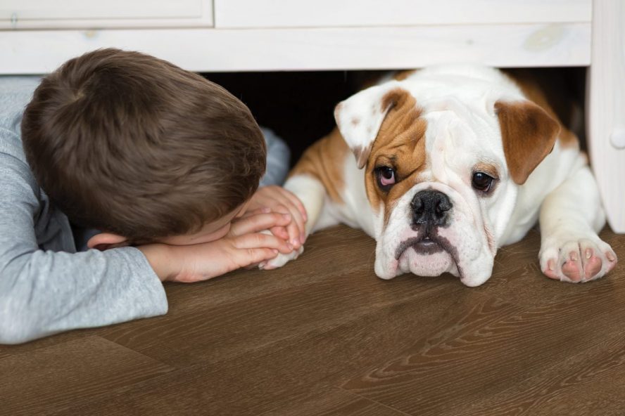 image showing child and dog laying on wood floor.
